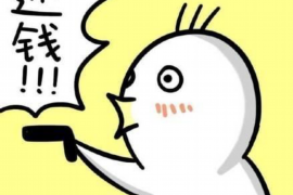 新乡为什么选择专业追讨公司来处理您的债务纠纷？